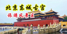 色色动态美女后入式中国北京-东城古宫旅游风景区